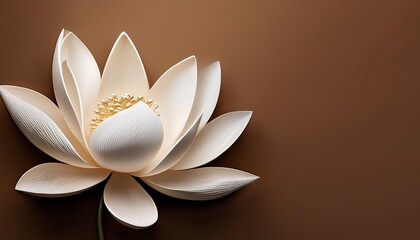 water lily isolated on black