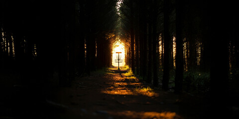 Obraz premium Disc Golf Basket & Chains , Tunnel Shot Through Forest Trees, Discgolf Frisbee Sport