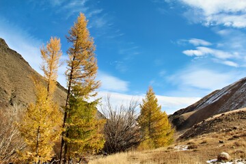 A serene landscape featuring golden trees against a blue sky and mountains.