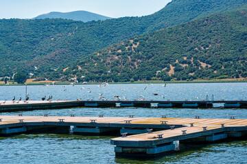 Birds Flying Over Dock on Mountain Lake