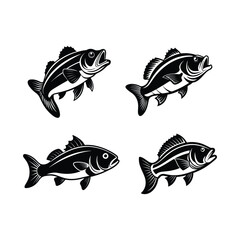 set of Bass fish silhouette vector, black and white silhouette, vector and illustration 