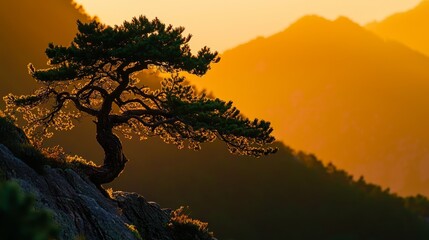  A solitary pine tree atop a rocky cliff in a valley's heart, mountains forming its backdrop