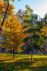 Fototapeta premium Golden colourful autumn in Maryinskyi park in Kyiv, Ukraine