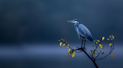 Fototapeta premium A bird atop a tree branch, overhanging a body of water Yellow leaves populate the foreground