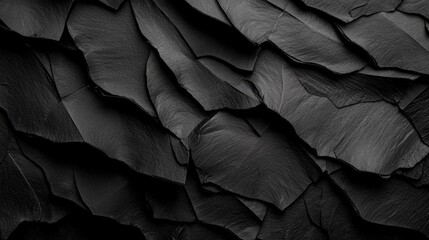 Obraz premium A monochrome image of an enchanting cluster of foliage, reminiscent of a fairy tale