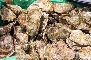 Fresh live different sizes oysters Fine de Clair in market hall ready to be eaten for lunch, close up, from oyster-farming village, Arcachon bay, Gujan-Mestras, Bordeaux, France