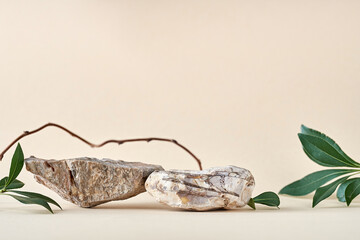 Natural stone podium with green leaves. Background for perfume, jewellery and cosmetic products