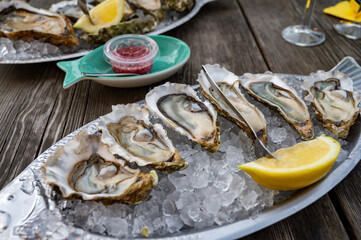 Eating of fresh live oysters with citron at farm cafe in oyster-farming village, Arcachon bay, Gujan-Mestras port, Bordeaux, France in sunny day, huge oyster