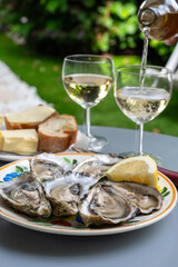 Plate with fresh live oysters with citron, bread, butter and white wine served at restaurant in oyster-farming village, Arcachon bay, Gujan-Mestras port, France