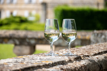 Glasses of white wine in old wine domain on Sauternes vineyards in Barsac village and old castle on background, Bordeaux, France