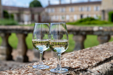 Glasses of white wine in old wine domain on Sauternes vineyards in Barsac village and old castle on background, Bordeaux, France