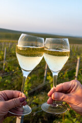 Tasting of grand cru sparkling brut white wine champagne on sunny vineyards of Cote des Blancs in village Cramant, Champagne, France, glasses of wine in hands