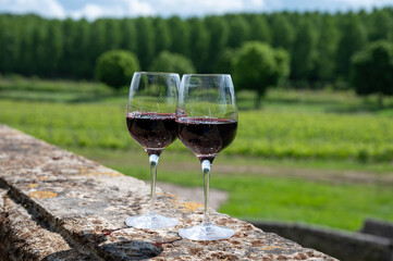 Glasses of french dry red wine in old wine domain on Graves vineyards in Portets village and old castle on background, Bordeaux, France