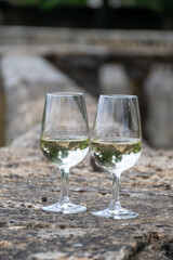 Glasses of white wine in old wine domain on Sauternes vineyards in Barsac village and old castle on background, Bordeaux, France