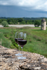 Glasses of french dry red wine in old wine domain on Graves vineyards in Portets village and old castle on background, Bordeaux, France