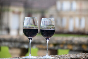 Glasses of french dry red wine in old wine domain on Graves vineyards in Portets village and old castle on background, Bordeaux, France