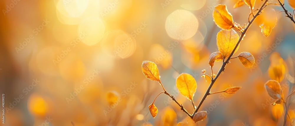 Wall mural  A tree's branch, adorned with yellow leaves, in front of a sun-blurred backdrop of sun rays filtering through