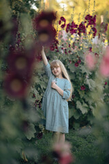 A girl in the mallow flower garden