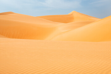 Sand dunes in the Liwa desert of U.A.E. 