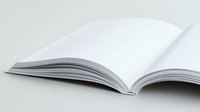 A book is open to a blank page
