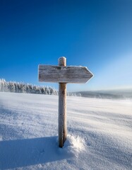 Naklejka premium frosty wood sign in winter with copy space