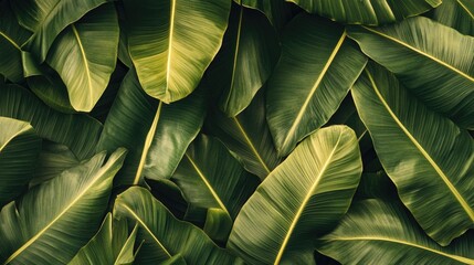 Vibrant Tropical Leaf Display