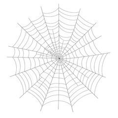 Obraz premium Intricate spider web design element