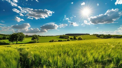 Fototapeta premium A serene scene with lush green grass and a clear blue sky, ideal for use in nature-inspired designs or as a background