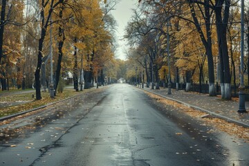 A wet and foggy street surrounded by tall trees, great for urban or nature scenes
