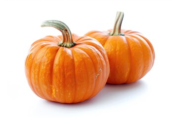 Fototapeta premium Freshly harvested pumpkins on a clean white surface