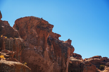 Fototapeta premium rock formations with small rabbits on top, in Valle de Las Rocas, Bolivia