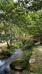 portugal, nazare, beaches, surfing, porto, sunset