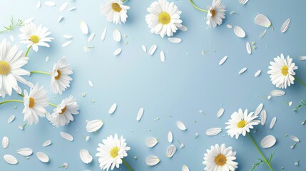 Floral frame background of Plain light blue paper structure background with blank copy space in the middle, on top of the background are smller and bigger daisy blossoms scatterd arround