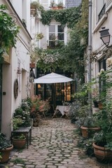 Obraz premium Paris scene