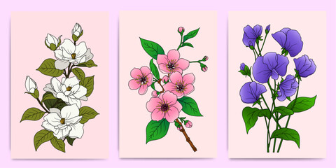 Minimalist flower collection of Sweet Pea, Cherry Blossom And Gardenia - Hand-Drawn Botanical Illustrations for Prints, Flyers, Banners, Invitations, Branding Design, Covers And Home Decoration