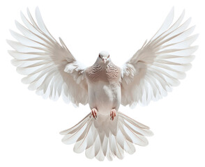 Obraz premium PNG A flying dove bird white graceful animal.