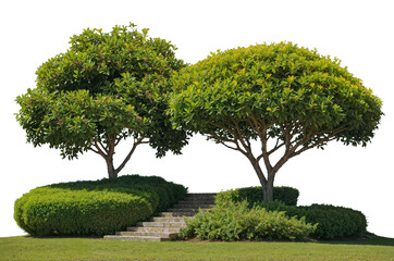 Botanical garden scene with sculpted ornamental trees, manicured hedges, and stone steps isolated on transparent background, botanical gardening, landscape design, outdoor decor. Generative AI
