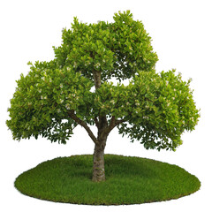 Flowering ornamental tree with lush green foliage on a small grassy mound isolated on transparent background, ideal for gardening, landscape design, outdoor decor, and nature elements. Generative AI
