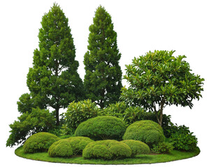 Lush garden landscape with tall evergreens, sculpted bushes, and ornamental tree isolated on transparent background, gardening landscape design, outdoor decor, nature elements. Generative AI