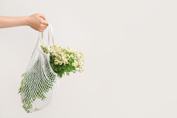 Female hand holding mesh bag with beautiful chamomile flowers on light background