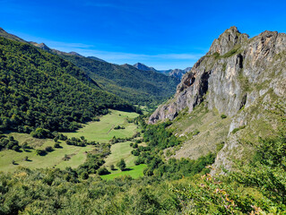 Fototapeta premium Beech forest in summer near Valle de Lago village, Somiedo Natural Park and Biosphere Reserve, Asturias, Spain