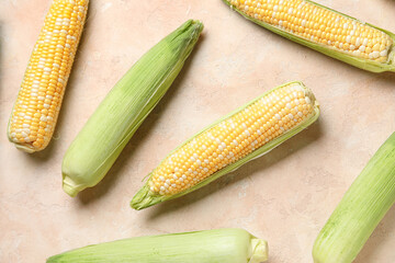 Fresh corn cobs on beige background