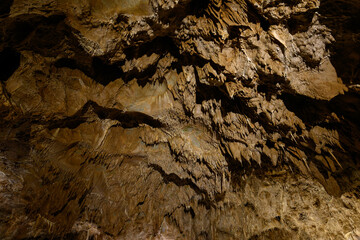 Tiny stalactites on the cave ceiling.
