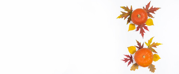 .Pumpkins and autumn leaves of oak, birch, maple on a white background.