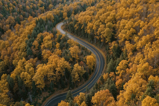 Winding road through colorful autumn forest