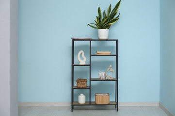 Shelving unit with houseplant near blue wall in room