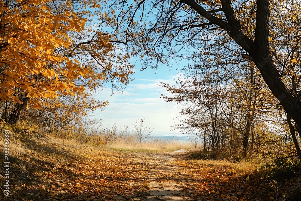 Wall mural Autumn path through trees leading to a lake on a sunny day. Beautiful nature landscape with fall foliage, golden leaves and blue sky.