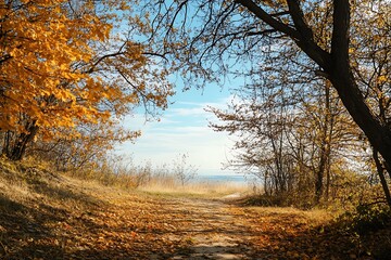 Fototapeta premium Autumn path through trees leading to a lake on a sunny day. Beautiful nature landscape with fall foliage, golden leaves and blue sky.