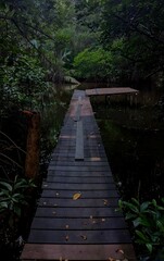 Obraz premium Nature 