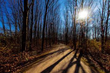 Tall Pines Area, Walnut Woods Metro Park, Groveport, Ohio